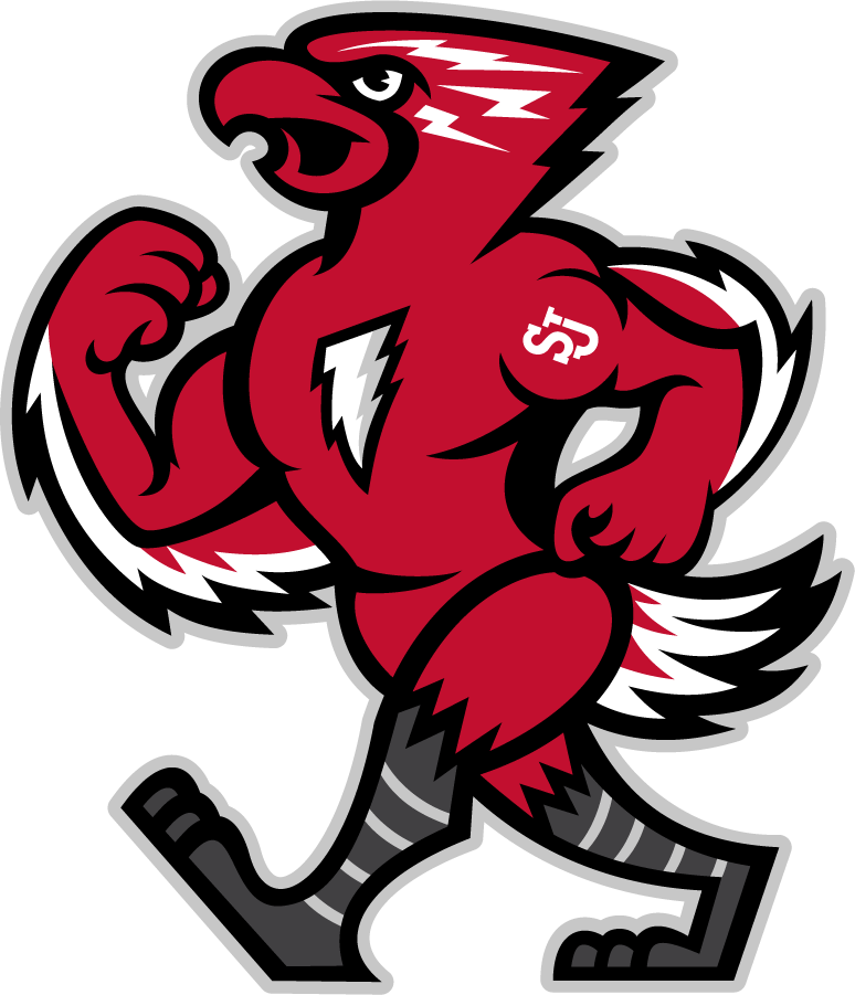 St. John's Red Storm 2013-2015 Mascot Logo DIY iron on transfer (heat transfer)